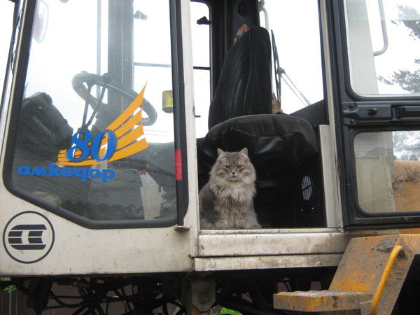 Марина Белова