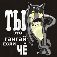 Владислав Куликов