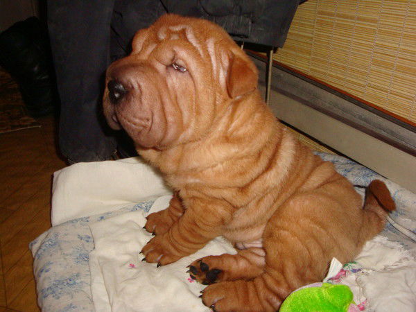 Рустик Фатахутдинов