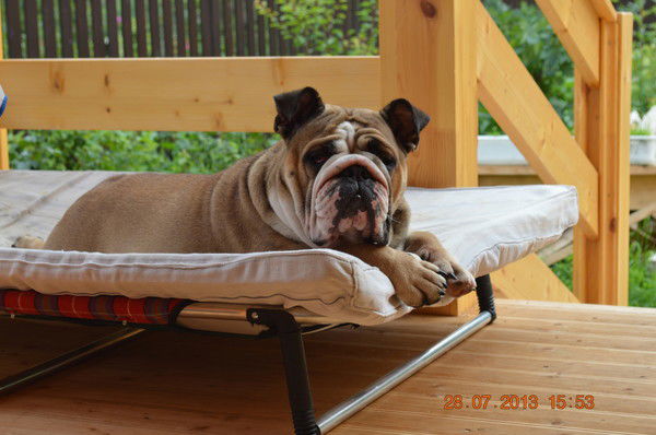 Оксана Клецова