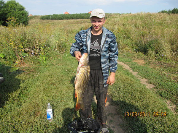 Александр Евдокимов