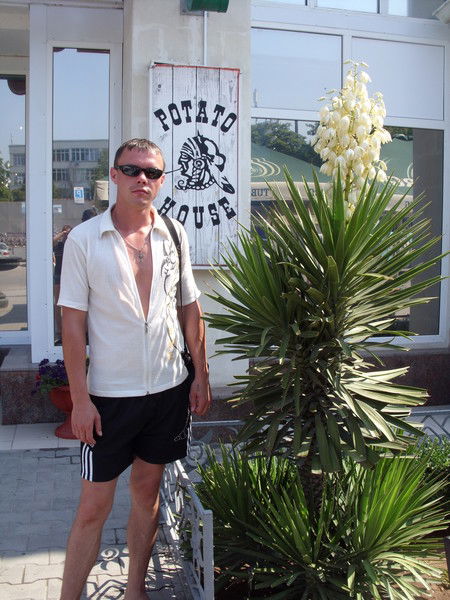 Максим Тимченко