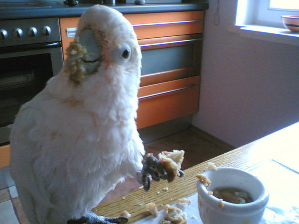 Екатерина Зенькевич