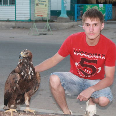 Антон Никулин