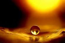 Айгуль Несипбекова