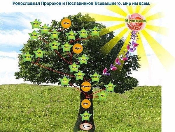 Илхом Тешабоев