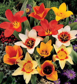 Наталья Вишнякова