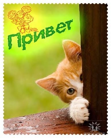 Марина Трапезникова