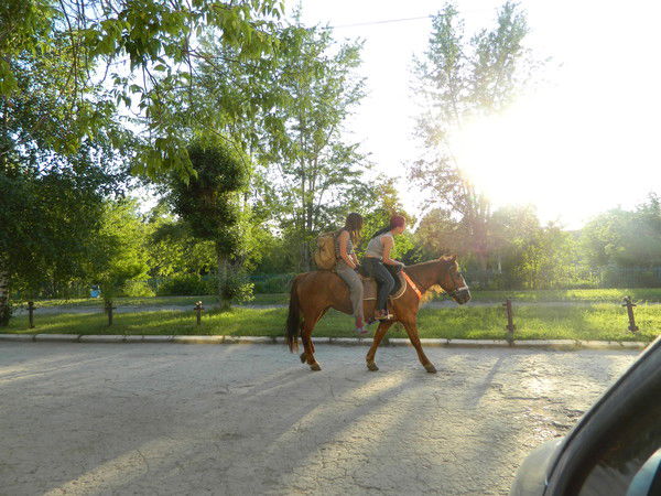 Павел Сарапулов