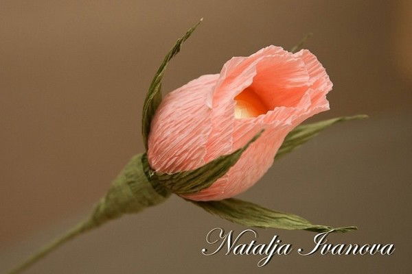 Ирина Глебова