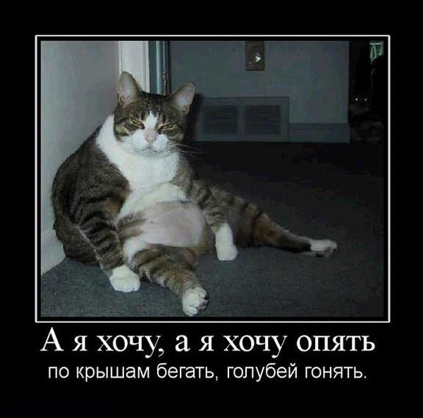 Дмитрий Безруков