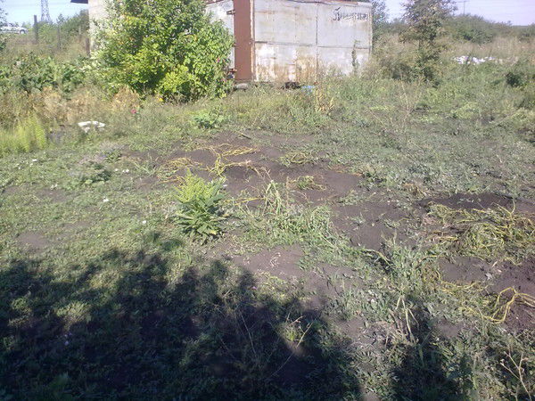 Владимир Грачев