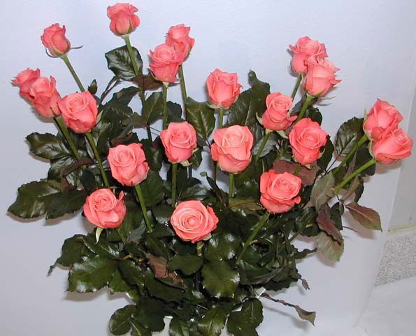 Ирина Кирпичёва