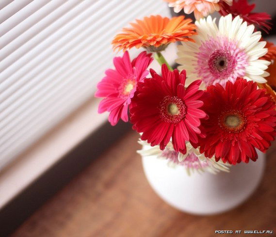 Наиля Гатауллина