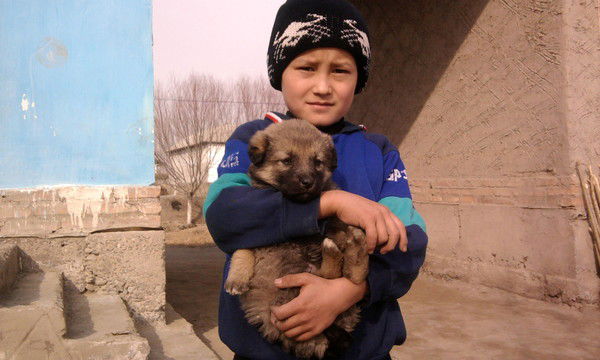 Шухратжон Ортиков