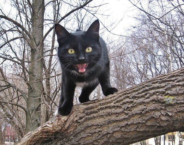 Марина ))))))))))