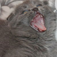 Сергей Гайдайчук