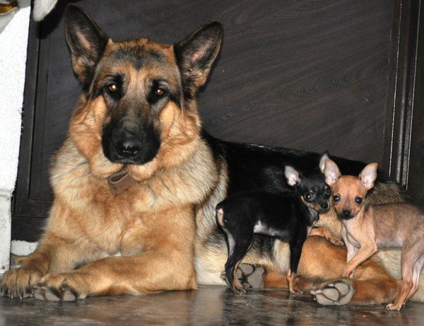 Оксана Литвинцева