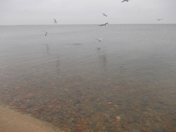 Наталья Казлитина