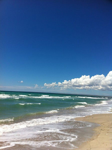 Роман Соловьев