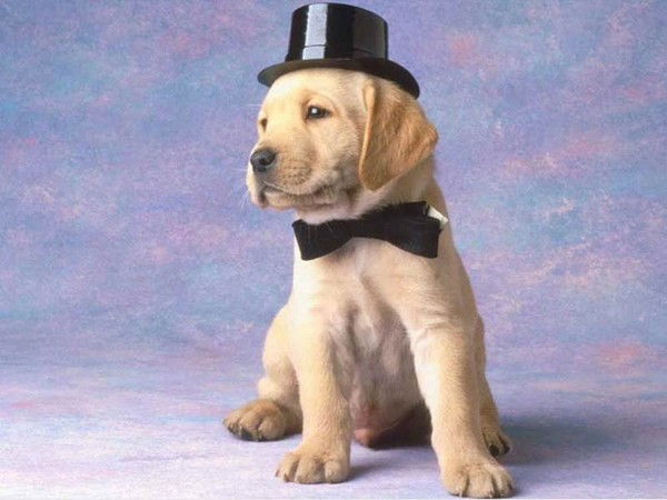 Валентина Шатило