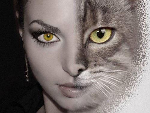 Светлана Калбаева