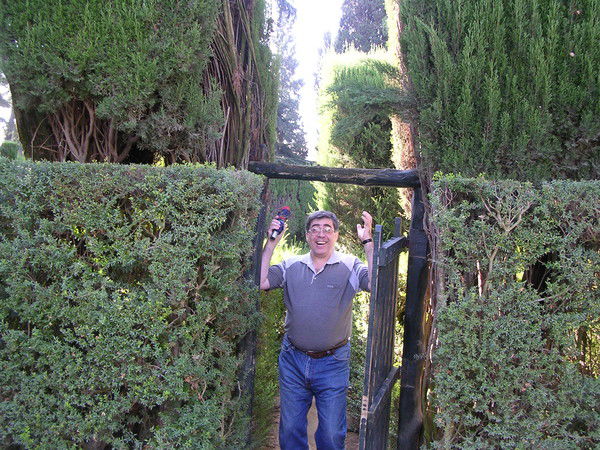 Айнбунд Александр