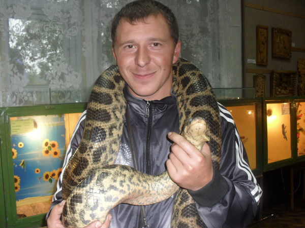 Сергей Степанюк