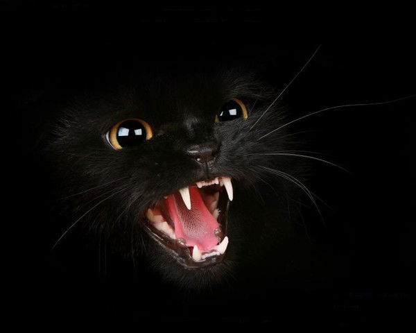 Артем Мелкумов