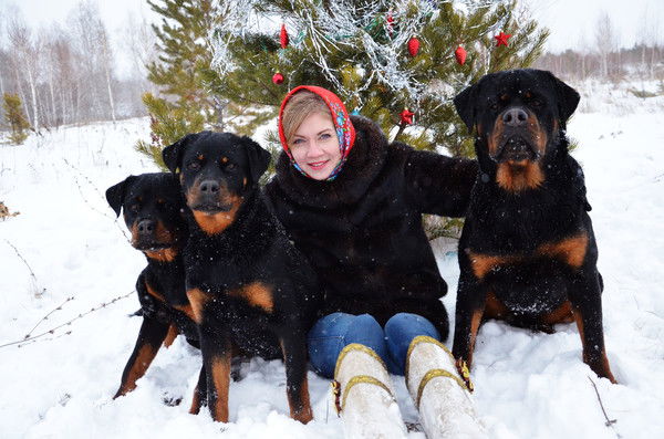 Питомник Сара Гордон