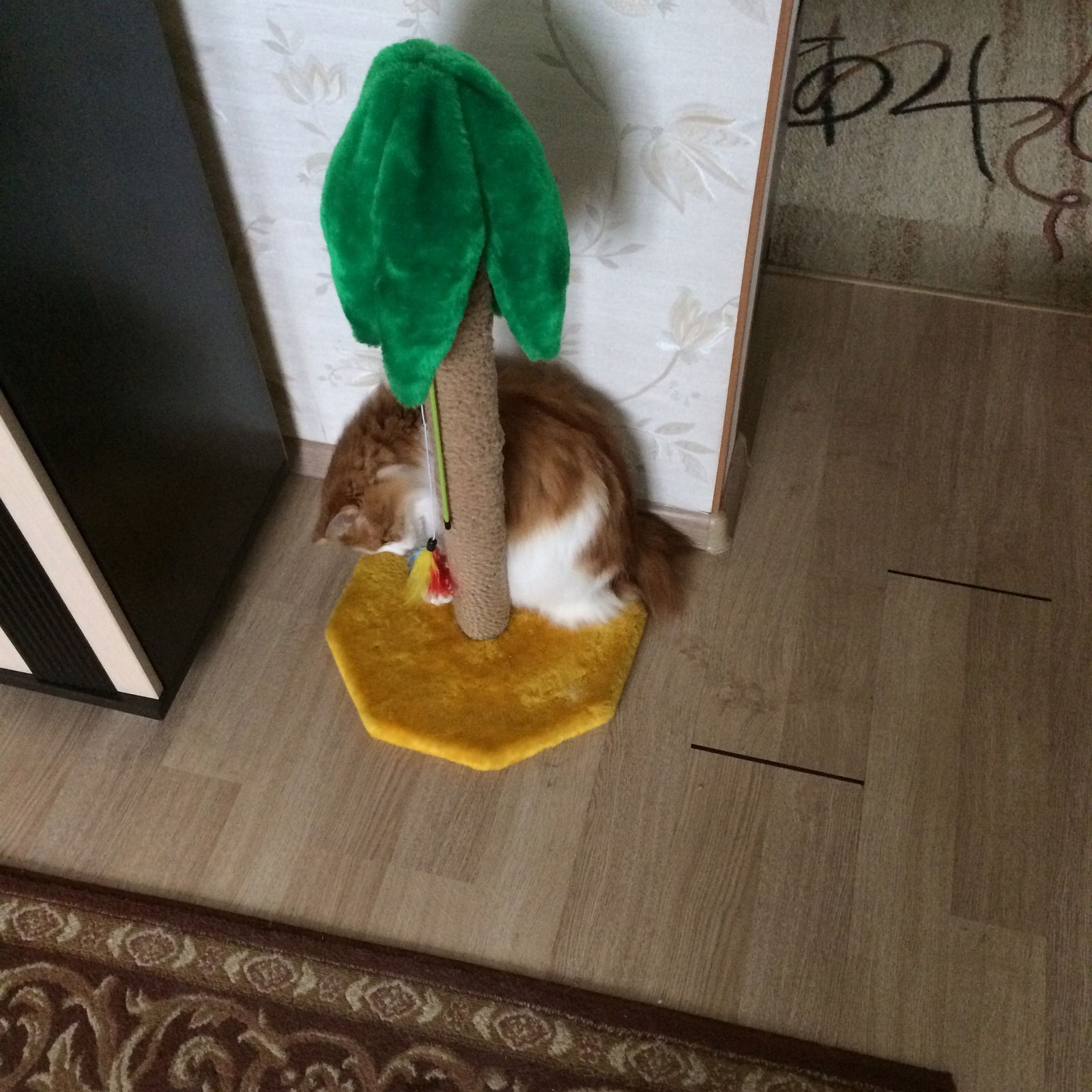 Николай Смирнов