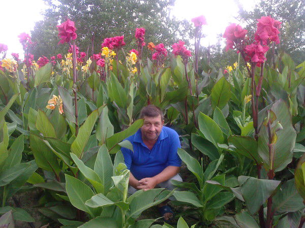 Сергей Молчанов