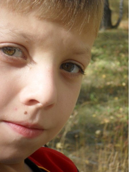 Данил Зорин