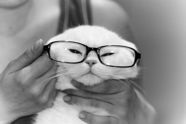 Александра Борейко