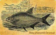 Сергей Левченко