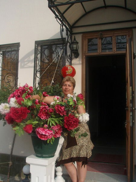 Елена Никитина