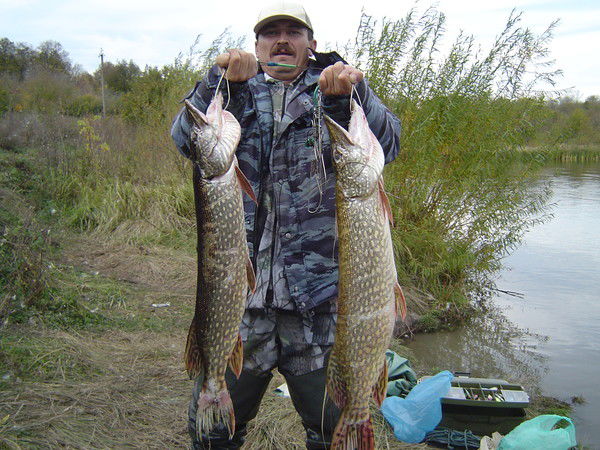 Валерий Гладких