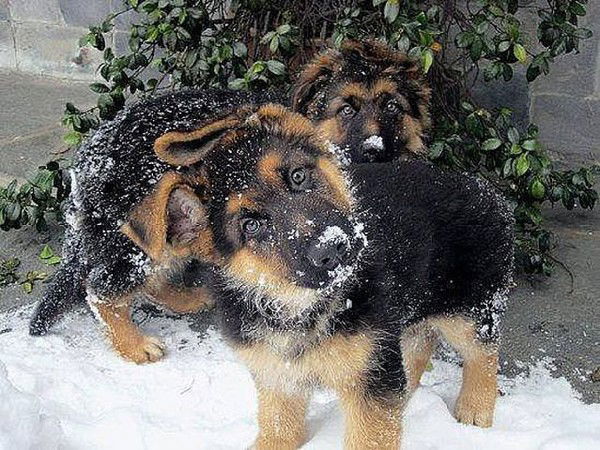 Вы Самые Самые