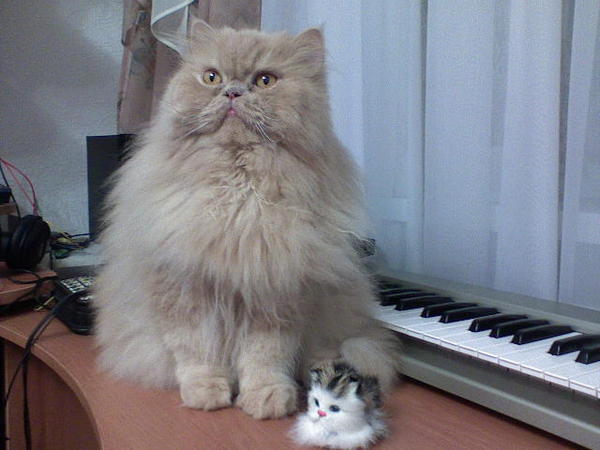 Павел Долинов