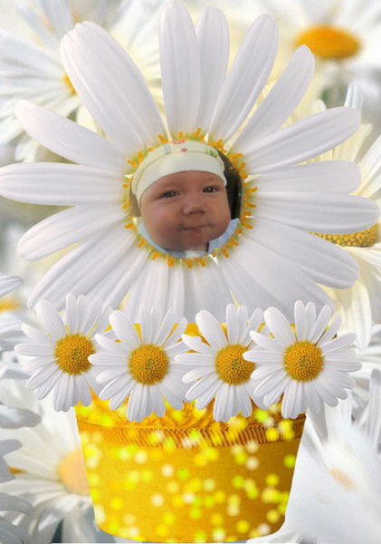 Ирина Кривая