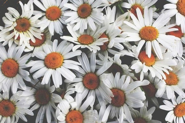 Юля Валеева