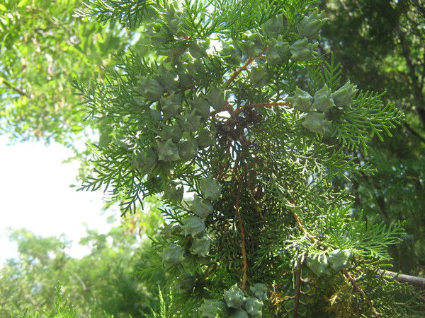 Оксана Ратькова