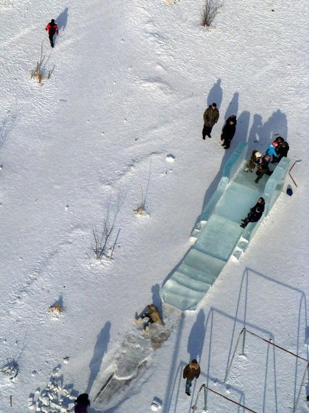 Николай Владимирович