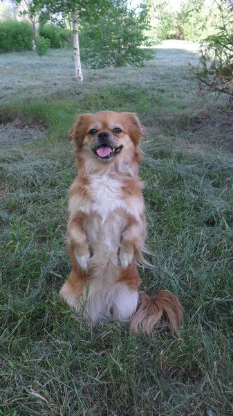 Татьяна Абрамова