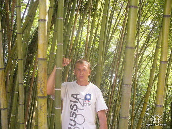 Владимир Семенов