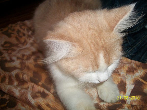 Петр Цуканов