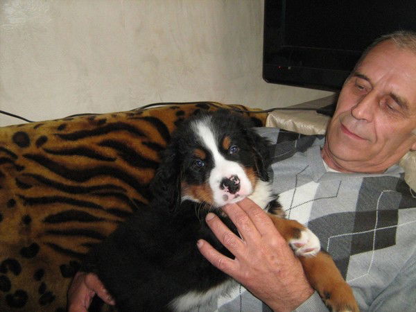 Алексей Милютин