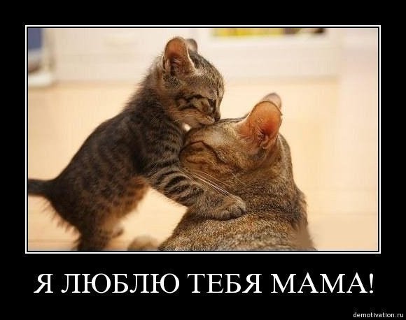 Кенжетай Шонашева (Шегенева)