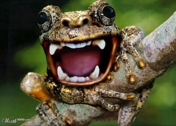 Даниил Шаров