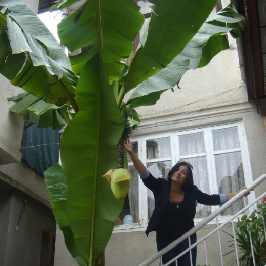 Светлана Литовченко